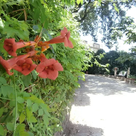 Bed & Breakfast Casale Irina