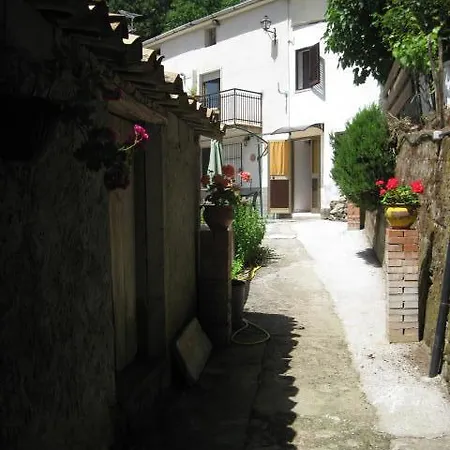 Casale Irina