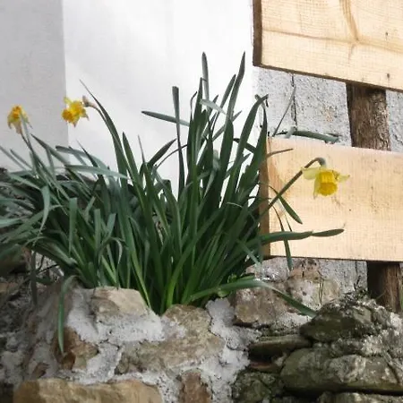 Bed & Breakfast Casale Irina Lago (Calabria)