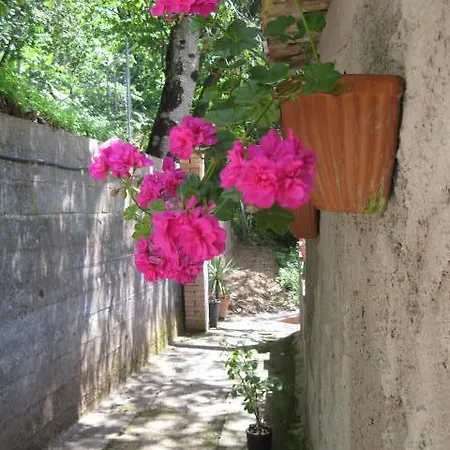 Casale Irina Bed & Breakfast *